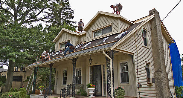 Best Storm Damage Roof Repair  in South Pittsburg, TN