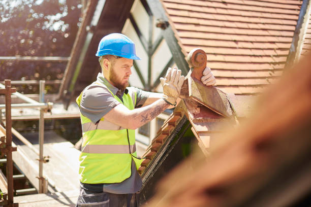 Roof Gutter Cleaning in South Pittsburg, TN